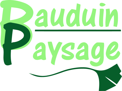 Bauduin Paysage